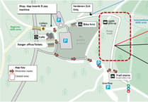 Essential tree work at Forest of Dean Cycle Centre to affect some trails