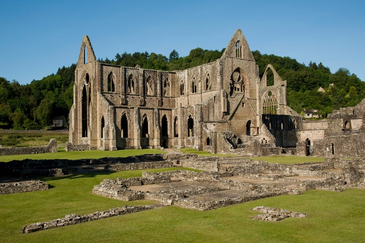Tintern Abbey and the Wye Valley have been recognised among Wales' favourite dog walking destinations in new research by Animal Friends Pet Insurance.