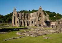 Explore Tintern Abbey: A top dog walk in Wales