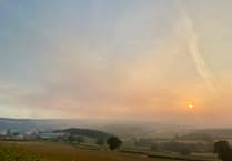 Firefighters deployed to investigate smoke reports in the Forest of Dean