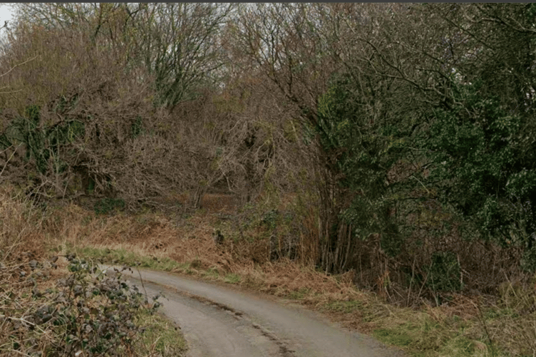 Grove Lane, Lydney