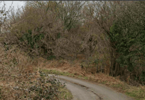 Forest of Dean planning applications revealed