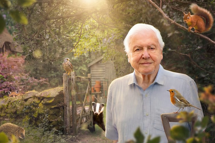 Sir David Attenborough’s Secret Garden put the wildlife of the Wye Valley in the national spotlight during its first series.