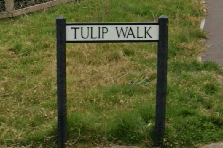 Tulip Walk, Lydney