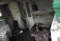 Ruardean woman sentenced for animal welfare offences