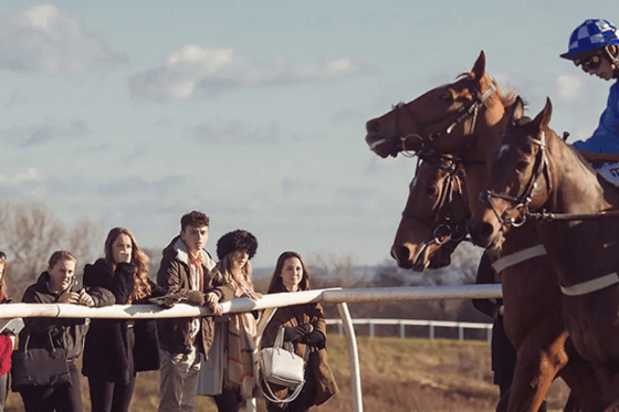 Hartpury University research has examined how racehorses can successfully transition to new careers after leaving racing.
