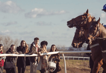 Discover what makes racehorses thrive post-retirement