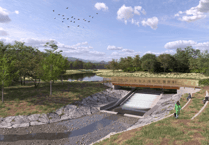 Forestry England invites public input on future of Cannop Ponds