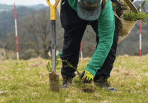Forest of Dean's major woodland expansion