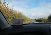 Push for tougher rules on young drivers