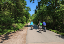 Invest in walking and cycling, urge campaigners