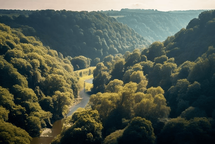 The Wye Valley has been highlighted in a new Wildlife Trusts report defending regulations designed to protect important habitats and wildlife.
