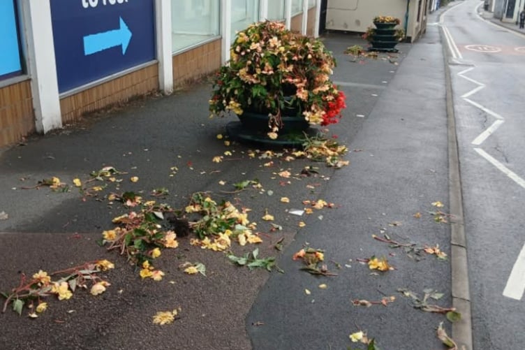 Damage to flower displays in Cinderford.