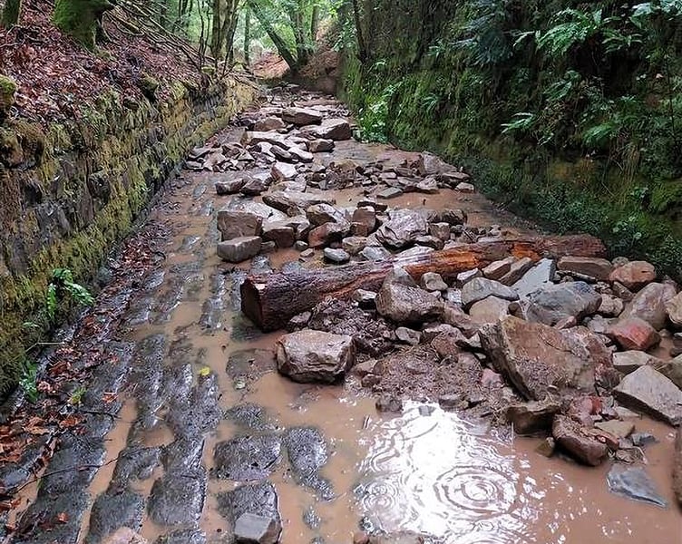 Stone and timber habitat feature in Cinderford Brook.