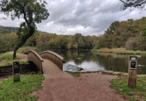 The 200-year story of Cannop Ponds as £25m transformation looms