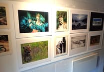 Discover stunning photography at the Forest of Dean Camera Club exhibition