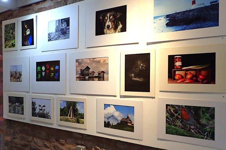 Wildlife, landscapes, portraits and still life are among the wide range of subjects featured in the Forest of Dean Camera Club exhibition.