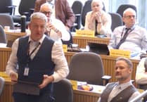 'Visceral' upset at potential abolition of Forest Council