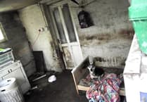 Pet owner banned for five years from keeping animals
