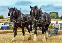 Jon takes Champion Ploughman at society's match