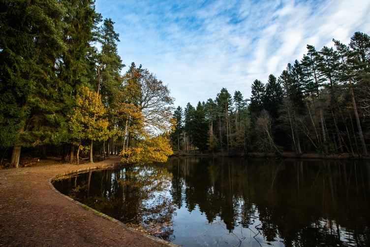 Autumn Watch