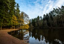 Forest of Dean is Europe’s most colourful autumn destination says survey