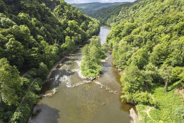 A view of the River Wye from Symonds Yat East.