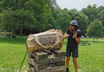 Public invited to upcoming woodcarving event