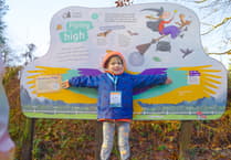 Join a magical Forest of Dean adventure