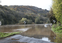 What El Niño could mean for the Forest