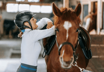 Hartpury study: breast support for female riders