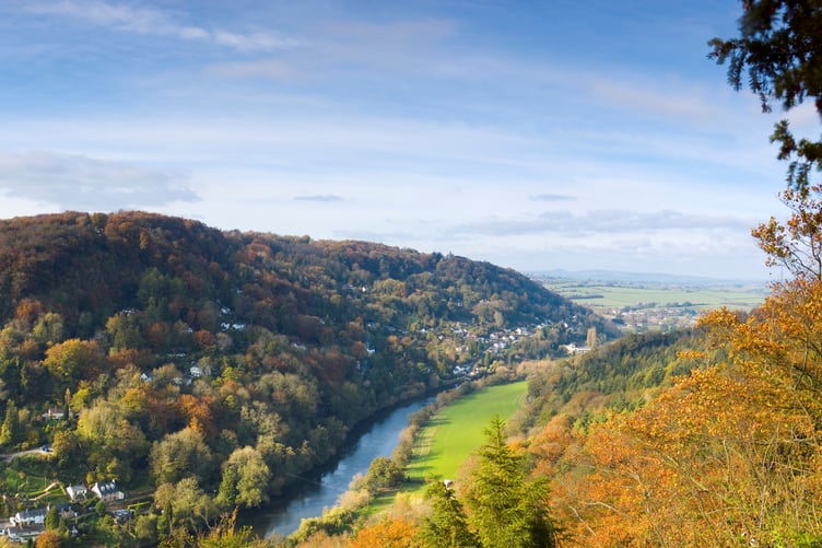 Forest of Dean