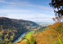 Why Forest of Dean organisations are rethinking single-use giveaways
