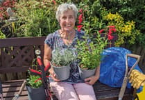 Forest Council backs Eco-Schools programme for local schools