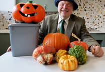 Use all of your pumpkin this year urges Forest of Dean District Council