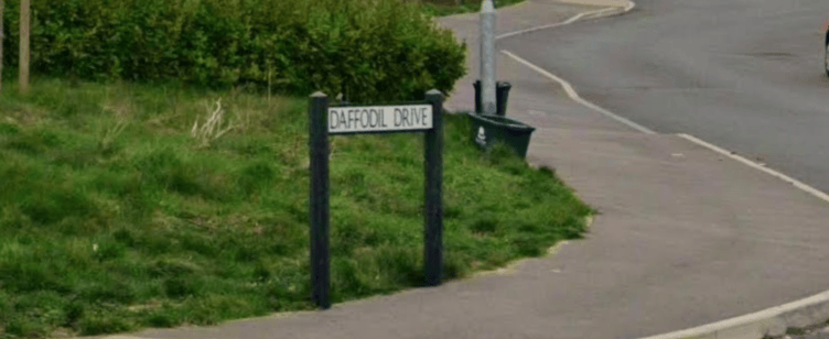 Daffodil Drive, Lydney